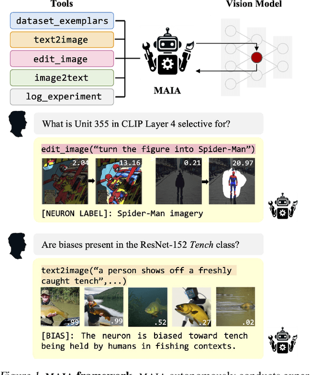 Figure 1 for A Multimodal Automated Interpretability Agent