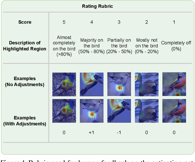 Figure 1 for Improving Prototypical Part Networks with Reward Reweighing, Reselection, and Retraining