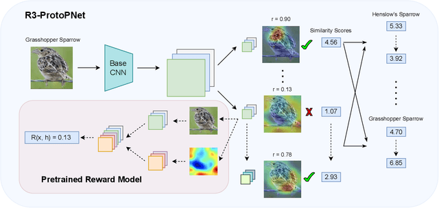 Figure 3 for Improving Prototypical Part Networks with Reward Reweighing, Reselection, and Retraining