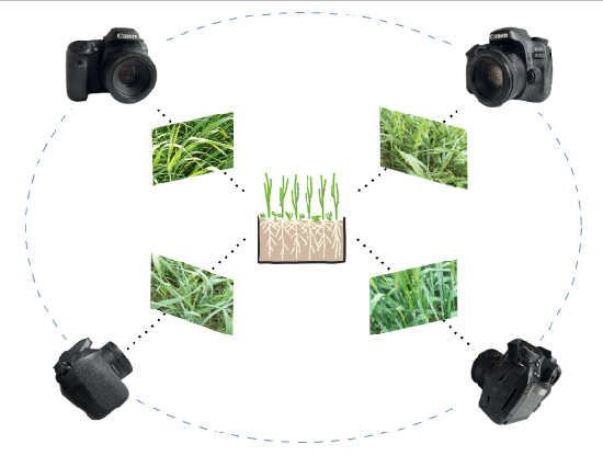 Figure 1 for MV-Match: Multi-View Matching for Domain-Adaptive Identification of Plant Nutrient Deficiencies