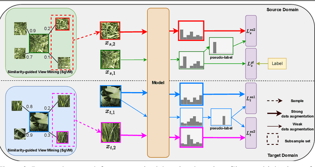 Figure 3 for MV-Match: Multi-View Matching for Domain-Adaptive Identification of Plant Nutrient Deficiencies