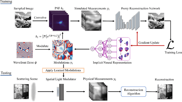 Figure 3 for WaveMo: Learning Wavefront Modulations to See Through Scattering