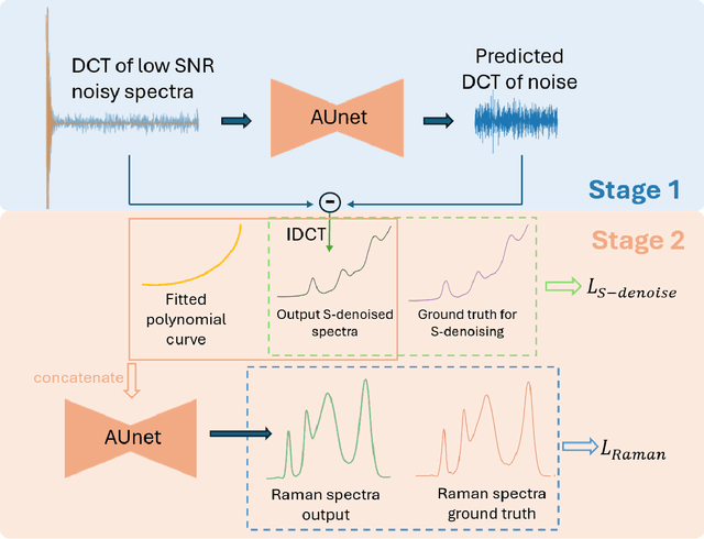Figure 1 for Simulation-Driven Deep Learning Framework for Raman Spectral Denoising Under Fluorescence-Dominant Conditions