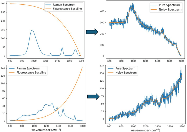 Figure 2 for Simulation-Driven Deep Learning Framework for Raman Spectral Denoising Under Fluorescence-Dominant Conditions