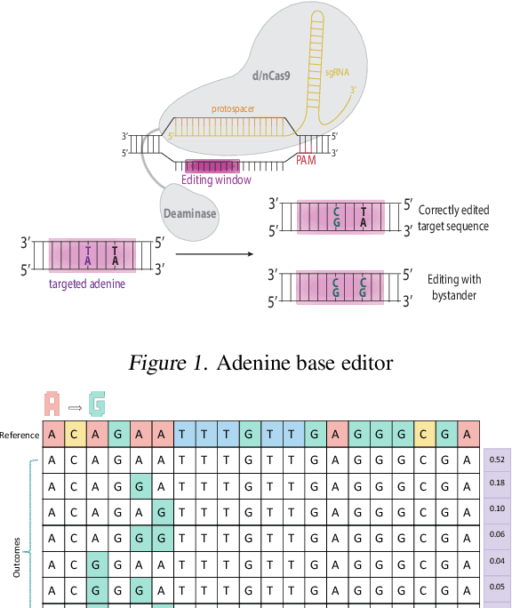 Figure 1 for Attention-based Multi-task Learning for Base Editor Outcome Prediction