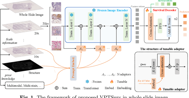 Figure 1 for End-to-end Multi-source Visual Prompt Tuning for Survival Analysis in Whole Slide Images