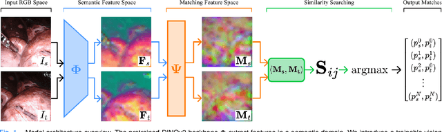 Figure 1 for Self-Supervised Contrastive Embedding Adaptation for Endoscopic Image Matching