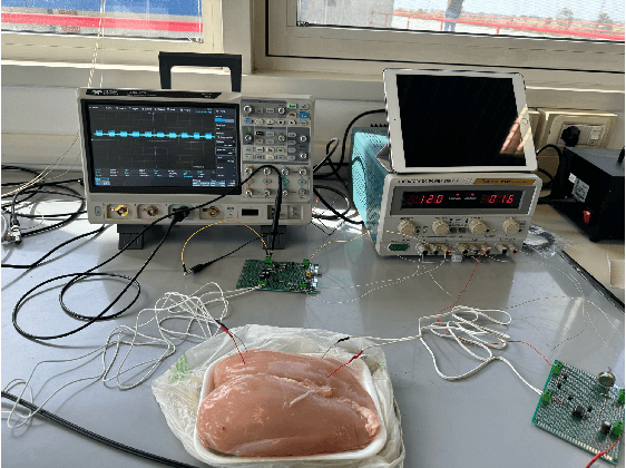 Figure 2 for Channel Characterization of Implantable Intrabody Communication through Experimental Measurements