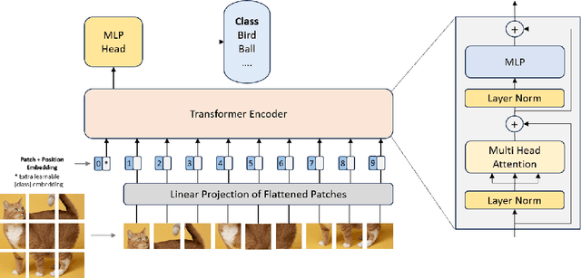 Figure 1 for Sparse then Prune: Toward Efficient Vision Transformers