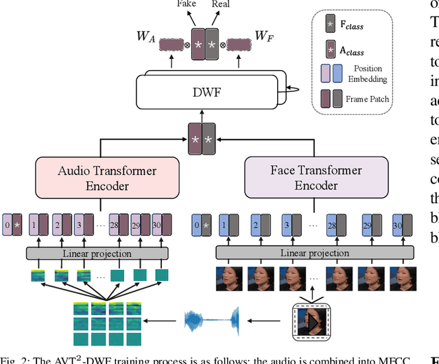 Figure 2 for AVT2-DWF: Improving Deepfake Detection with Audio-Visual Fusion and Dynamic Weighting Strategies