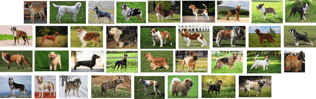 Figure 4 for AWOL: Analysis WithOut synthesis using Language