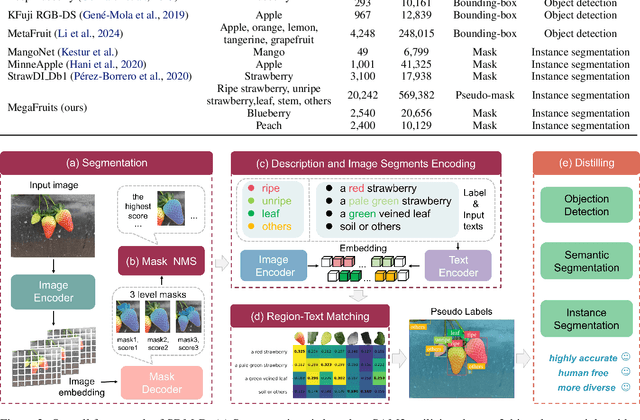 Figure 2 for Learn from Foundation Model: Fruit Detection Model without Manual Annotation