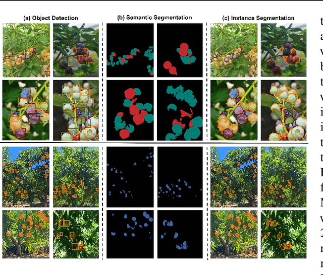 Figure 4 for Learn from Foundation Model: Fruit Detection Model without Manual Annotation