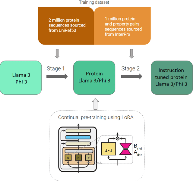 Figure 1 for Energy Efficient Protein Language Models: Leveraging Small Language Models with LoRA for Controllable Protein Generation