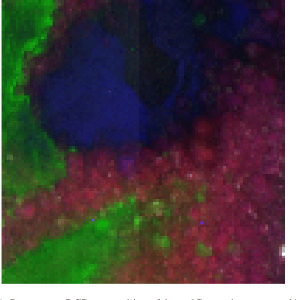 Figure 1 for On-the-fly spectral unmixing based on Kalman filtering