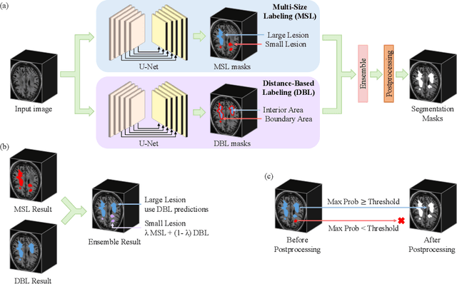 Figure 1 for Segmenting Small Stroke Lesions with Novel Labeling Strategies