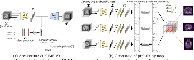 Figure 1 for iCBIR-Sli: Interpretable Content-Based Image Retrieval with 2D Slice Embeddings