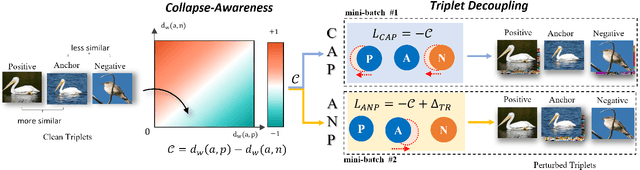 Figure 3 for Collapse-Oriented Adversarial Training with Triplet Decoupling for Robust Image Retrieval