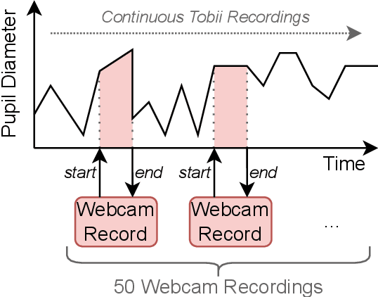 Figure 2 for EyeDentify: A Dataset for Pupil Diameter Estimation based on Webcam Images