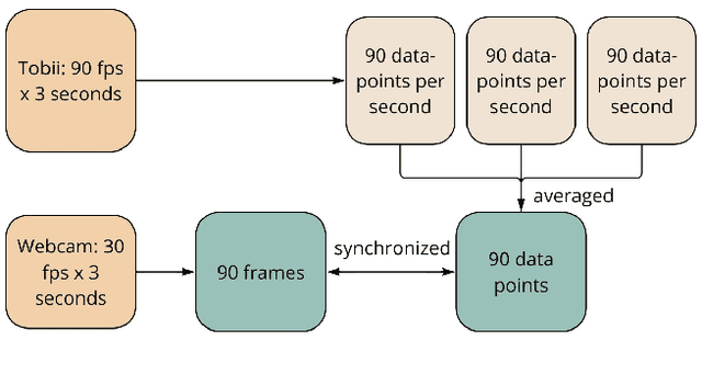 Figure 3 for EyeDentify: A Dataset for Pupil Diameter Estimation based on Webcam Images