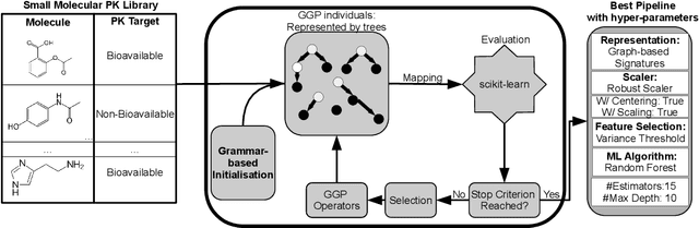 Figure 3 for Towards Evolutionary-based Automated Machine Learning for Small Molecule Pharmacokinetic Prediction