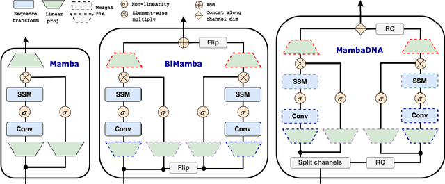 Figure 1 for Caduceus: Bi-Directional Equivariant Long-Range DNA Sequence Modeling