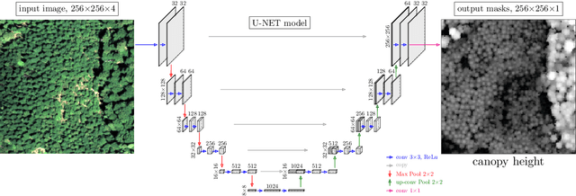 Figure 2 for Sub-Meter Tree Height Mapping of California using Aerial Images and LiDAR-Informed U-Net Model