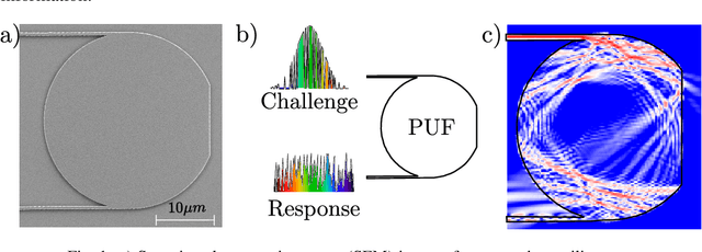 Figure 1 for Machine Learning Resistant Amorphous Silicon Physically Unclonable Functions (PUFs)