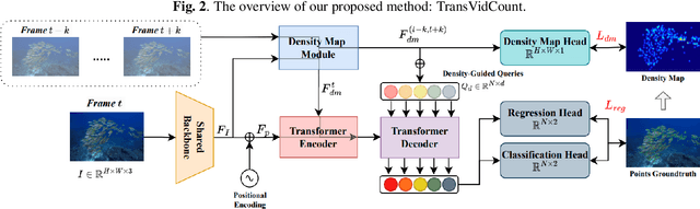 Figure 3 for A Density-Guided Temporal Attention Transformer for Indiscernible Object Counting in Underwater Video