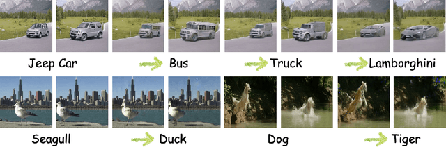 Figure 1 for Zero-Shot Video Editing through Adaptive Sliding Score Distillation