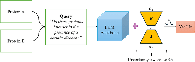 Figure 1 for Uncertainty-Aware Adaptation of Large Language Models for Protein-Protein Interaction Analysis