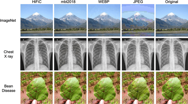 Figure 1 for Machine Perceptual Quality: Evaluating the Impact of Severe Lossy Compression on Audio and Image Models