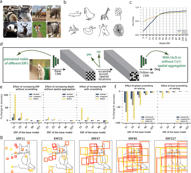 Figure 2 for A novel feature-scrambling approach reveals the capacity of convolutional neural networks to learn spatial relations