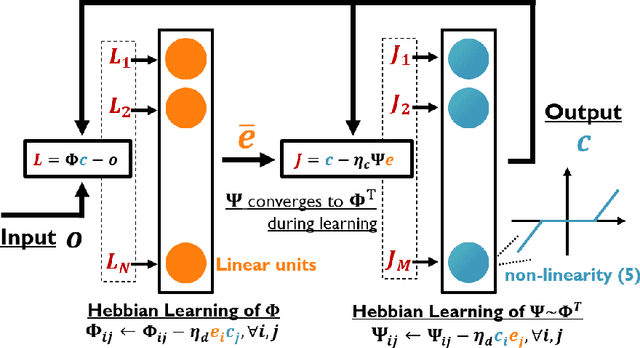 Figure 1 for Active Inference in Hebbian Learning Networks