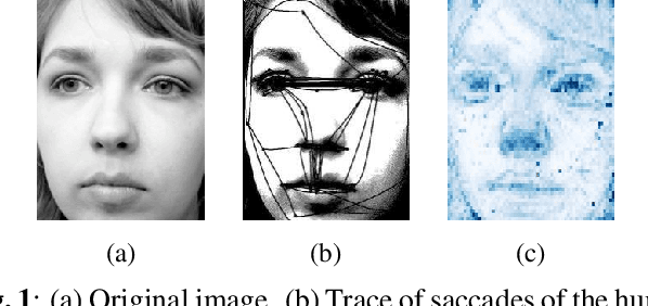 Figure 1 for Visual Fixation-Based Retinal Prosthetic Simulation