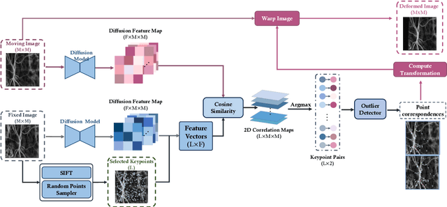 Figure 3 for RetinaRegNet: A Versatile Approach for Retinal Image Registration