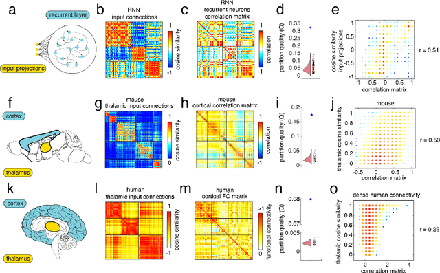 Figure 4 for Functional connectivity modules in recurrent neural networks: function, origin and dynamics