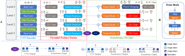 Figure 1 for MO-CTranS: A unified multi-organ segmentation model learning from multiple heterogeneously labelled datasets