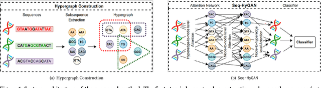 Figure 1 for Seq-HyGAN: Sequence Classification via Hypergraph Attention Network