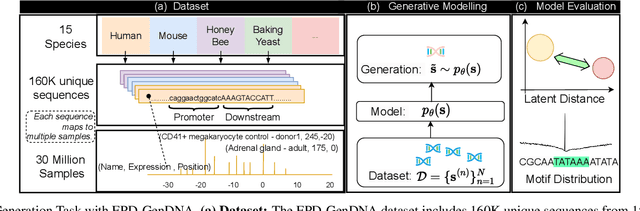 Figure 4 for DiscDiff: Latent Diffusion Model for DNA Sequence Generation