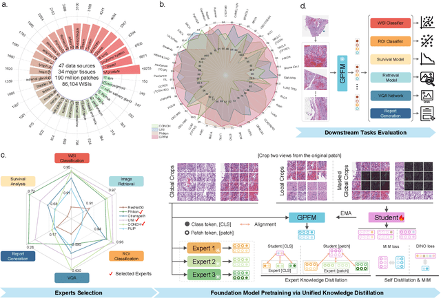 Figure 1 for Towards A Generalizable Pathology Foundation Model via Unified Knowledge Distillation