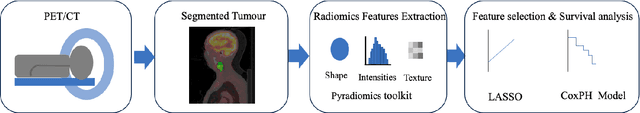 Figure 3 for Prediction of recurrence free survival of head and neck cancer using PET/CT radiomics and clinical information