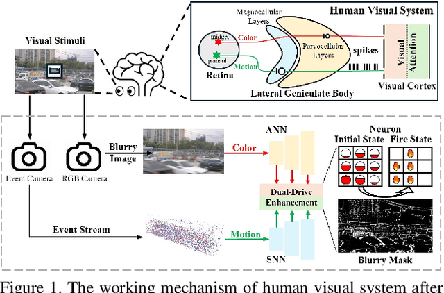 Figure 1 for ClearSight: Human Vision-Inspired Solutions for Event-Based Motion Deblurring