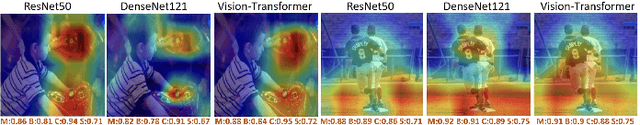 Figure 3 for Ask, Attend, Attack: A Effective Decision-Based Black-Box Targeted Attack for Image-to-Text Models