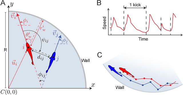 Figure 1 for Predicting long-term collective animal behavior with deep learning