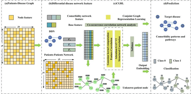 Figure 1 for A Conjoint Graph Representation Learning Framework for Hypertension Comorbidity Risk Prediction