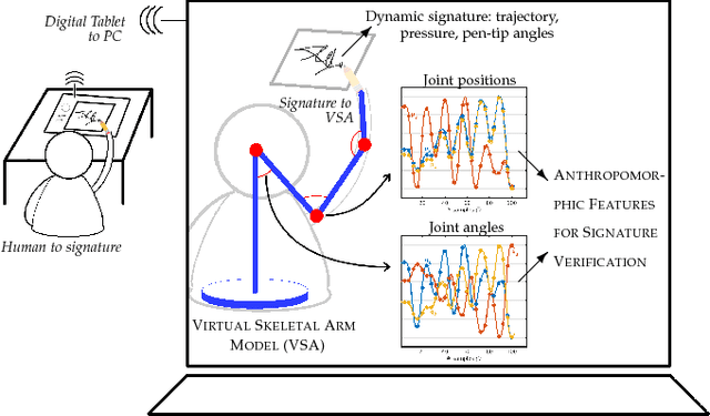 Figure 1 for Anthropomorphic Features for On-Line Signatures