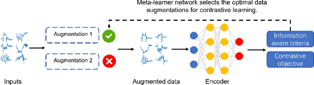 Figure 1 for Time Series Contrastive Learning with Information-Aware Augmentations