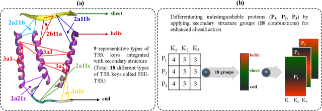 Figure 1 for Integrating Secondary Structures Information into Triangular Spatial Relationships (TSR) for Advanced Protein Classification