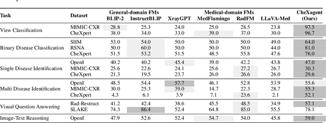 Figure 4 for CheXagent: Towards a Foundation Model for Chest X-Ray Interpretation